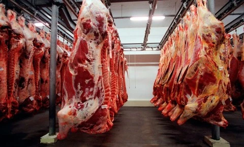 Consumo de carne bovina aumenta e, com isso, investimentos na área crescem